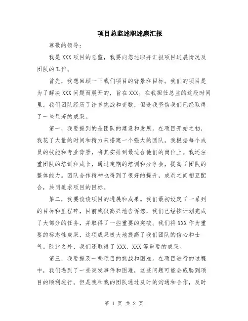 项目总监述职述廉汇报