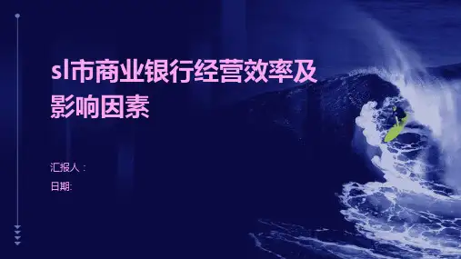 sl市商业银行经营效率及影响因素