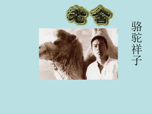 《高妈》课件 2