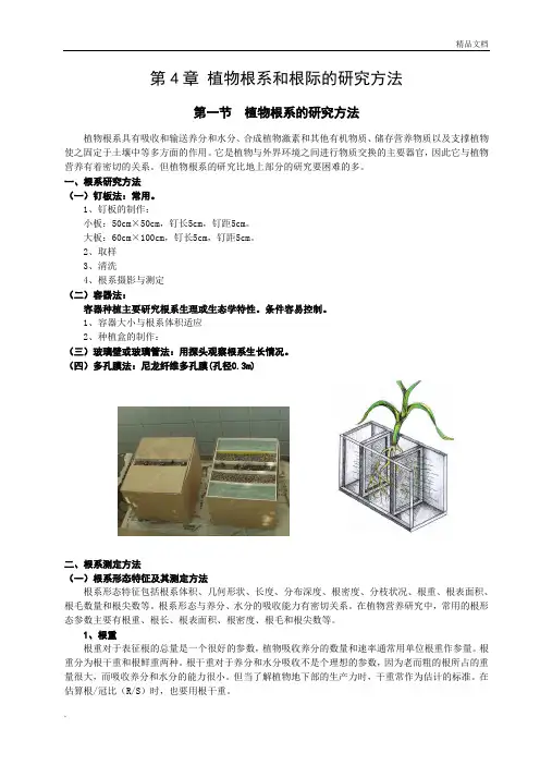 植物根系和根际的研究方法