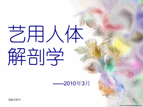 艺用人体解剖学课件1-概论