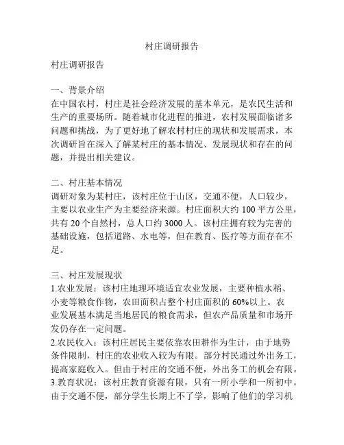 村庄调研报告