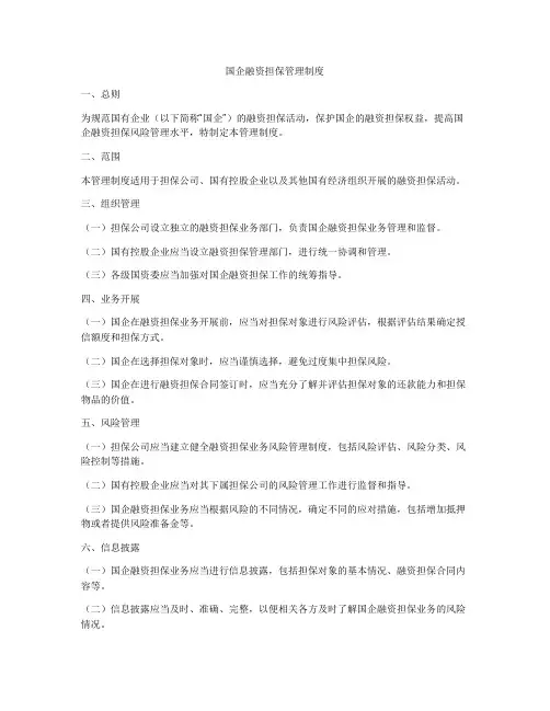 国企融资担保管理制度