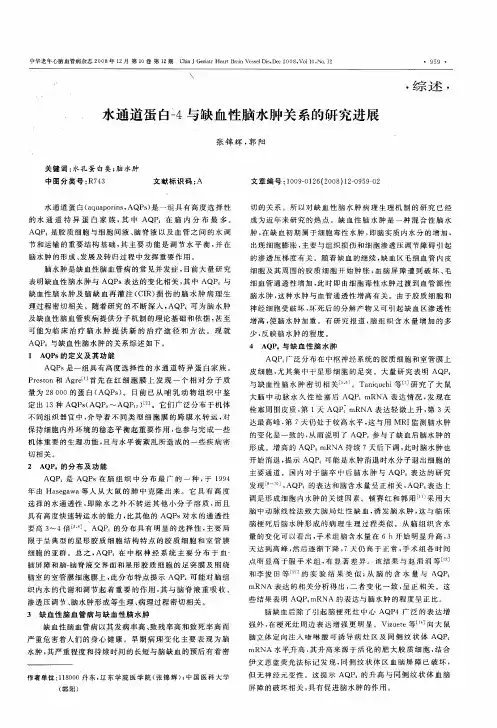 水通道蛋白-4与缺血性脑水肿关系的研究进展
