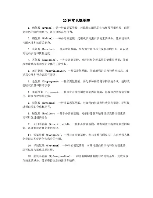 20种常见氨基酸