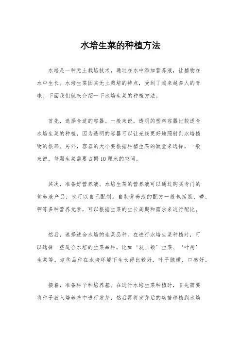 水培生菜的种植方法