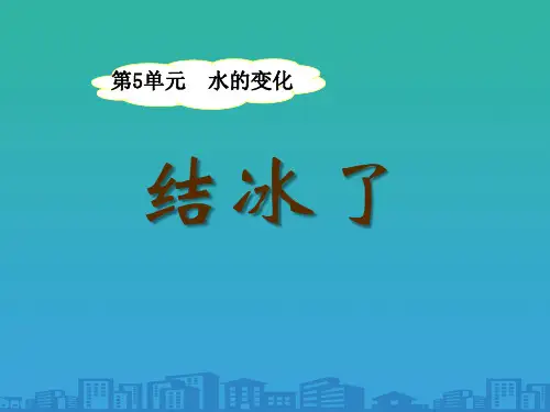 《结冰了》水的变化PPT课件