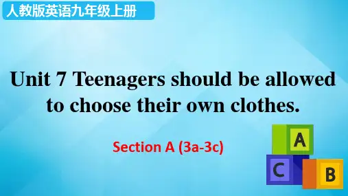 人教版英语九年级上册 Unit 7 Section A (3a-3c)