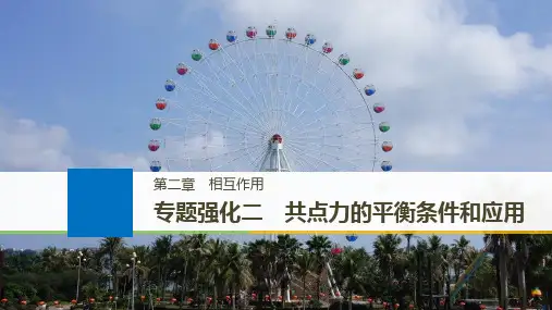 2018版高考物理江苏专用大一轮复习讲义课件第二章 相互作用 专题强化二 精品