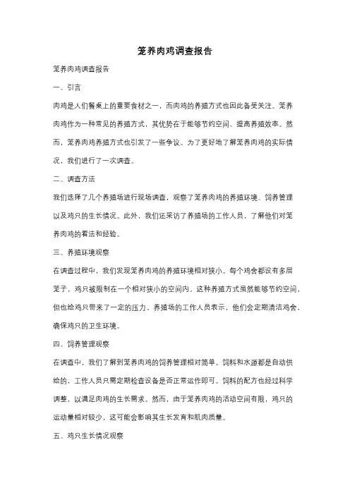笼养肉鸡调查报告