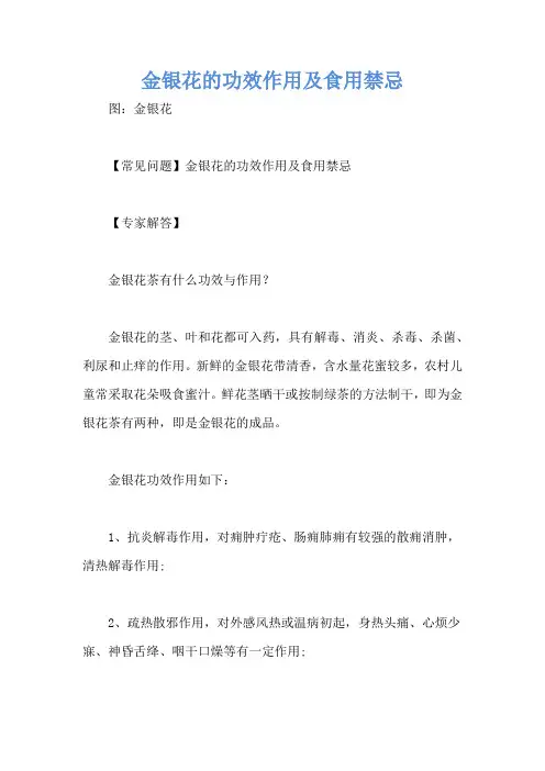金银花的功效作用及食用禁忌