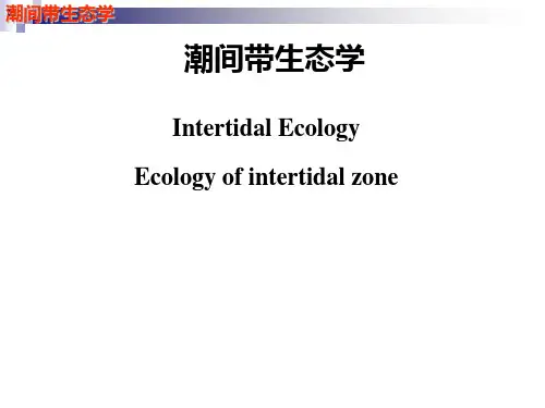潮间带生态学绪论01