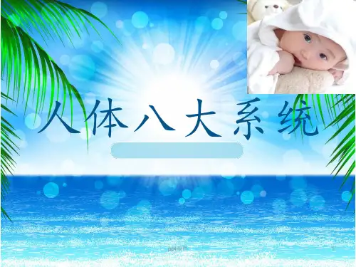 人体八大系统  ppt课件