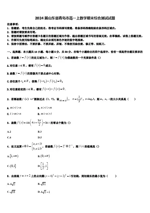 2024届山东省青岛市高一上数学期末综合测试试题含解析