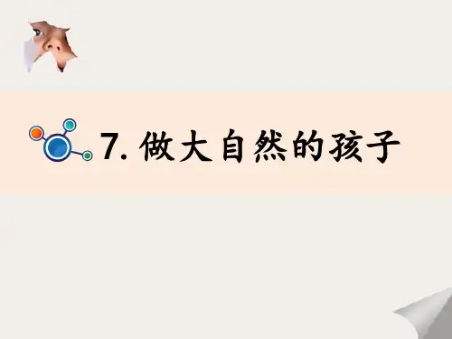 二年级上册科学课件-做大自然的孩子｜教科版 (共10张PPT)