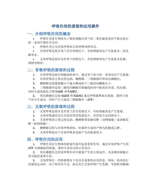 呼吸作用的原理和应用课件