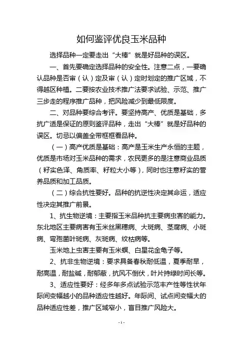 如何鉴评优良玉米品种