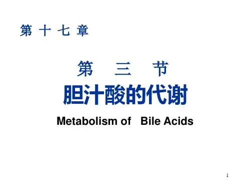 胆汁酸的代谢PPT演示课件