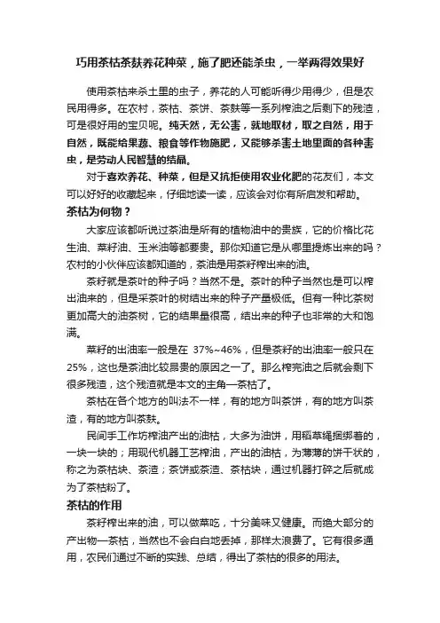 巧用茶枯茶麸养花种菜，施了肥还能杀虫，一举两得效果好
