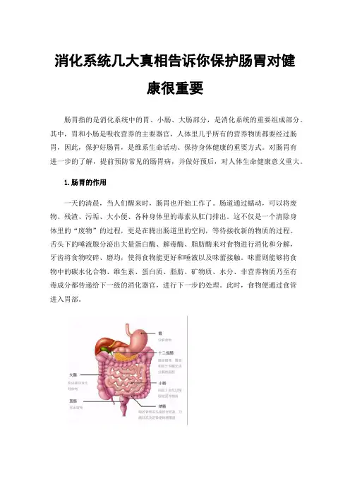 消化系统几大真相告诉你保护肠胃对健康很重要