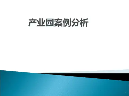 产业园案例分析