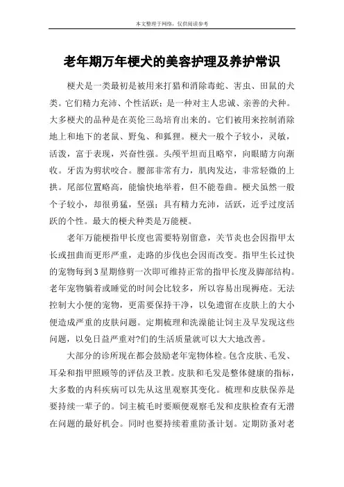 老年期万年梗犬的美容护理及养护常识