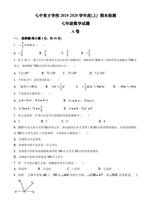 四川省锦江区七中育才2019-2020学年度第一学期七年级学期末检测数学试卷