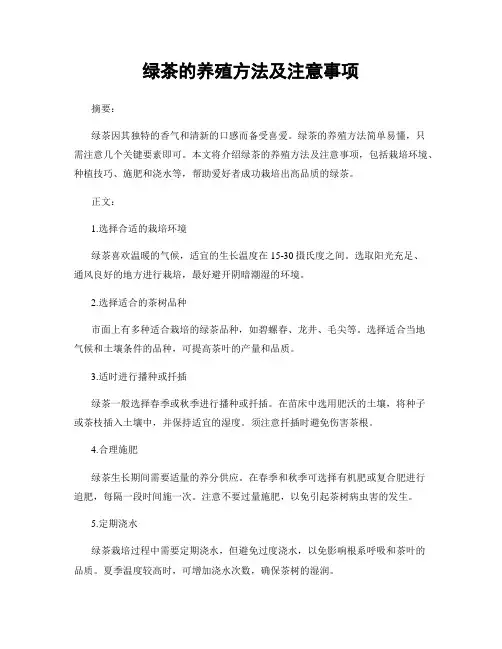 绿茶的养殖方法及注意事项