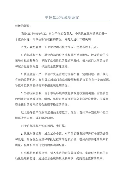 单位款迟报说明范文