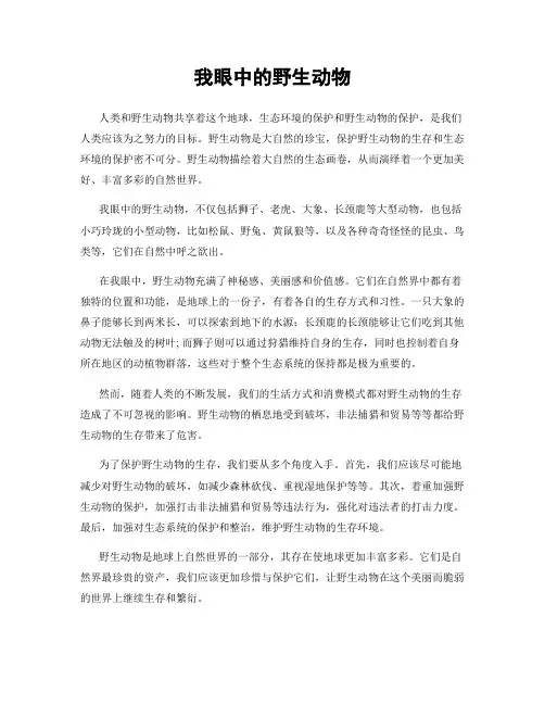 我眼中的野生动物