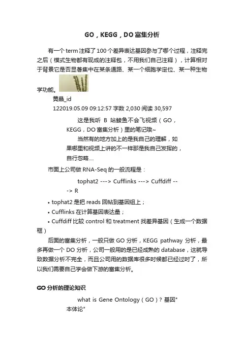 GO，KEGG，DO富集分析