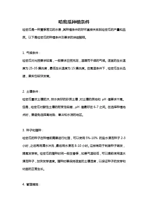 哈密瓜种植条件