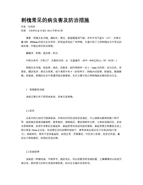 刺槐常见的病虫害及防治措施