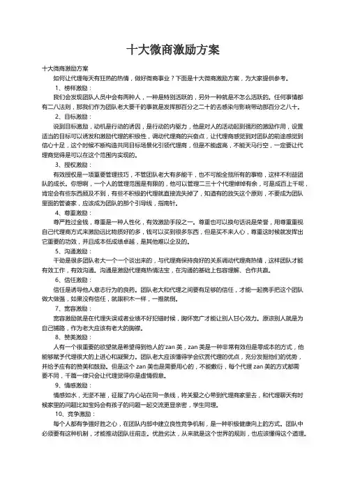 十大微商激励方案