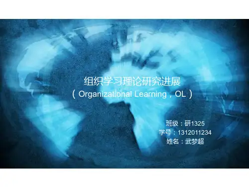 组织学习