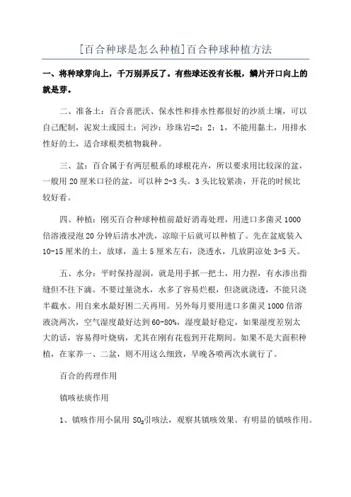 [百合种球是怎么种植]百合种球种植方法