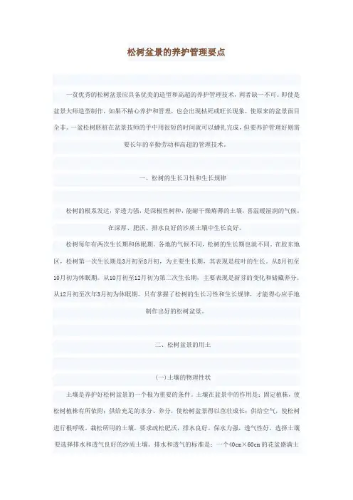 松树盆景的养护管理要点