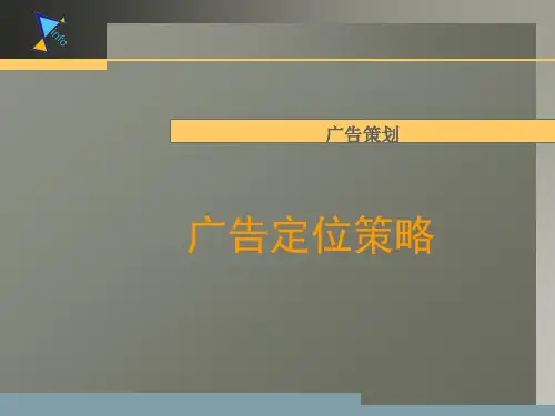 广告定位策略