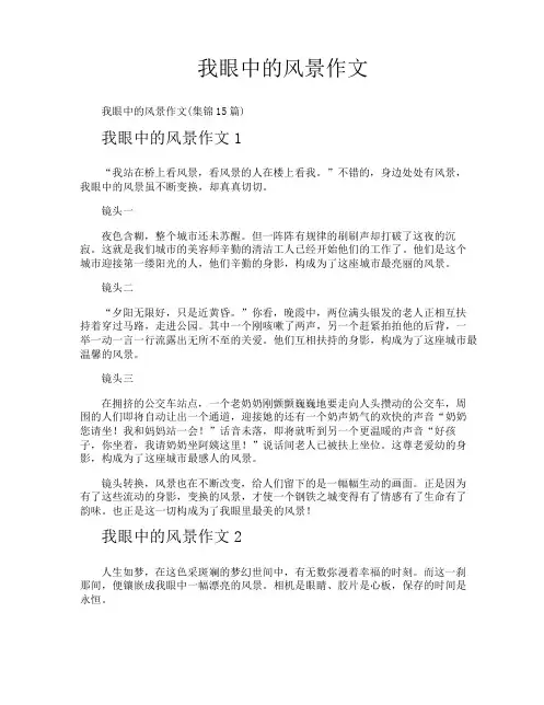 我眼中的风景作文