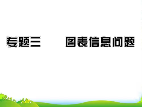 中考数学专题 三图表信息问题 复习课件
