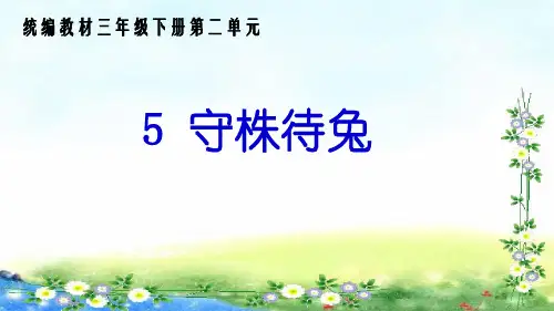 《守株待兔》PPT课件-人教部编版(共26张PPT)