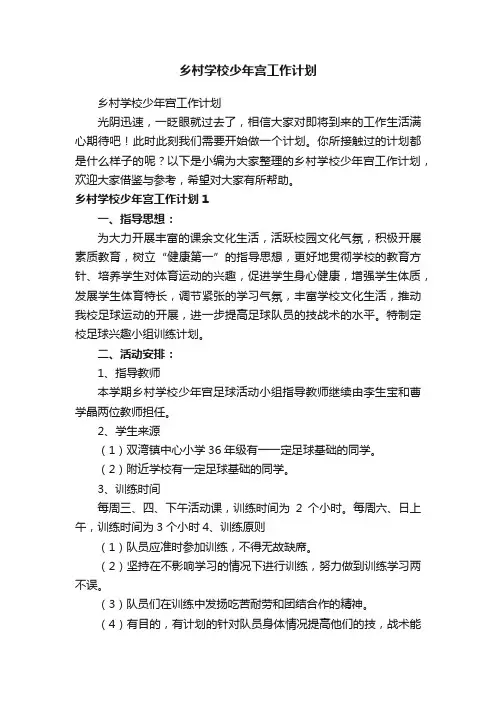 乡村学校少年宫工作计划