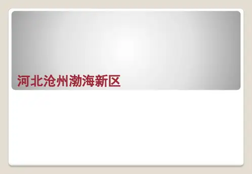 河北沧州渤海新区规划概况