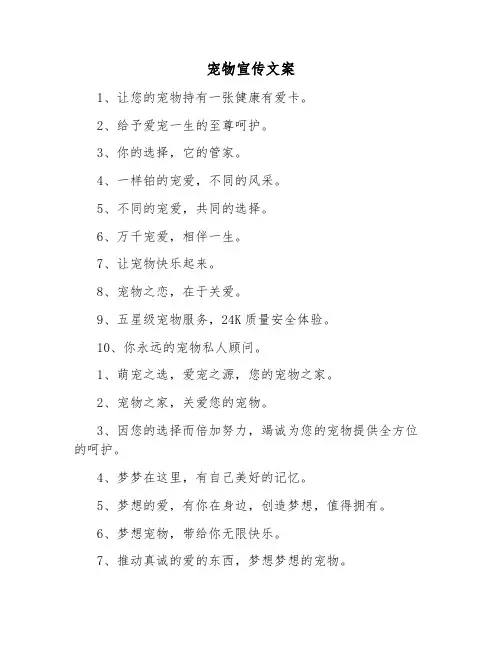 宠物宣传文案