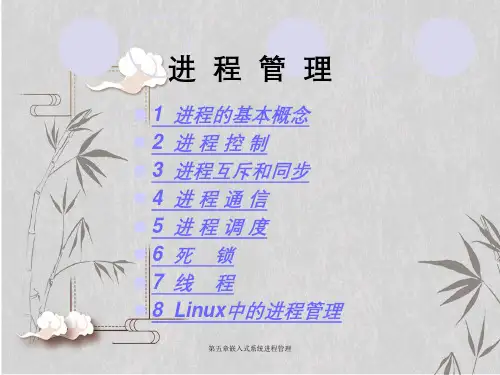 第五章嵌入式系统进程管理