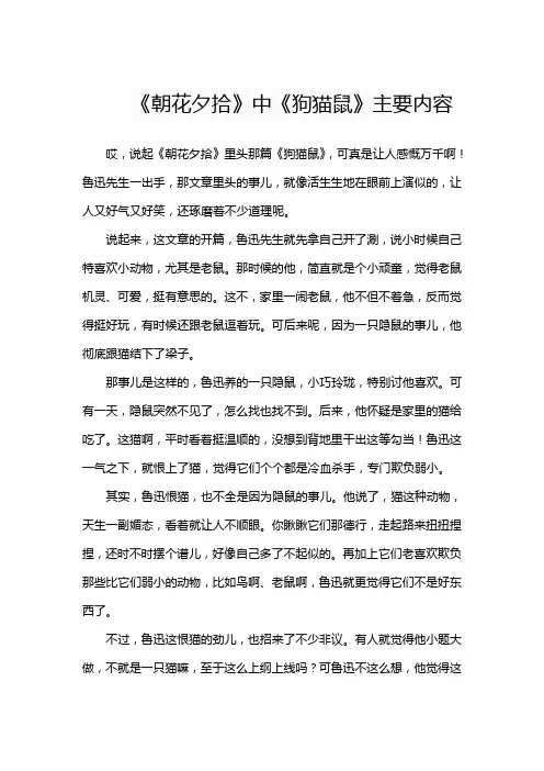 狗·猫鼠文章主要内容