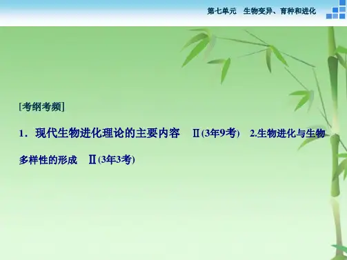高三生物一轮复习课件 现代生物进化理论(共54张PPT)