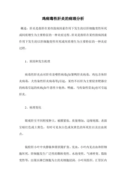 鸡病毒性肝炎的病理分析.doc