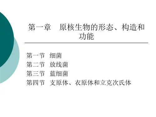 微生物学-第一章