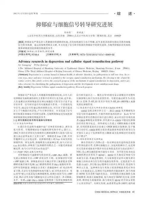 抑郁症与细胞信号转导进展